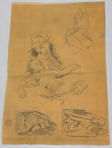 Disegno (USA)